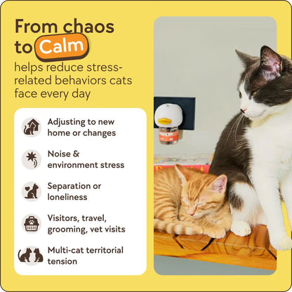Cats Calming Diffuser Kit