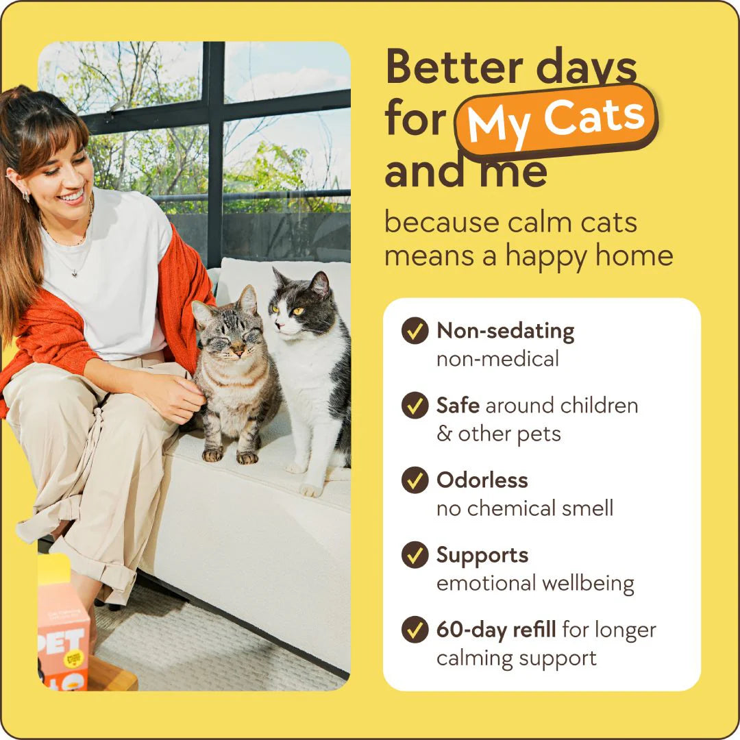 Cats Calming Diffuser Kit